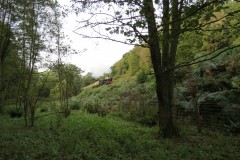 IMG_1780