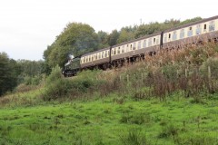 IMG_1796