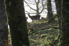 IMG_2025