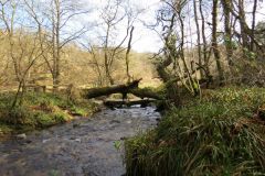 West-Water-1