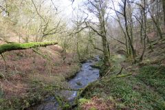 West-Water-11