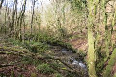 West-Water-12