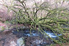 West-Water-14