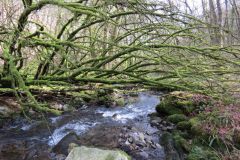 West-Water-15