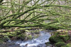 West-Water-16