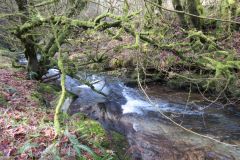 West-Water-18