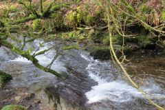 West-Water-19