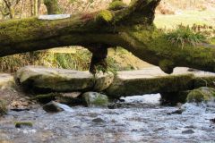 West-Water-2