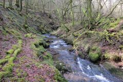 West-Water-20