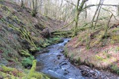 West-Water-21