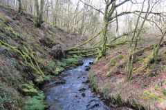 West-Water-22