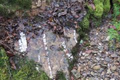 West-Water-24