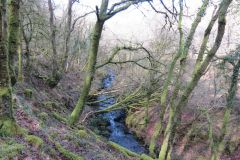 West-Water-25