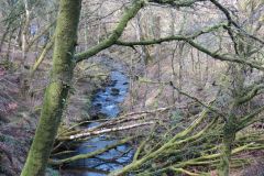 West-Water-26