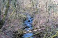 West-Water-27