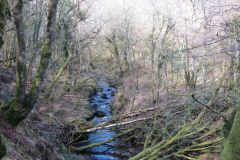West-Water-29