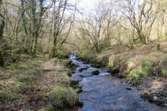West-Water-32