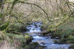 West-Water-33