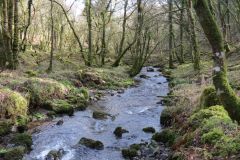 West-Water-34