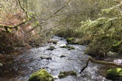 West-Water-35