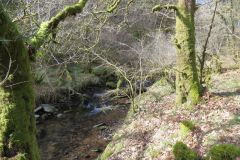 West-Water-38