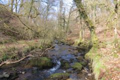 West-Water-39