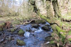 West-Water-40