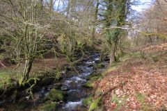West-Water-42