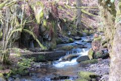 West-Water-44