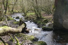 West-Water-47