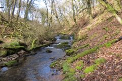West-Water-48