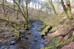 West-Water-49
