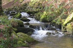 West-Water-5