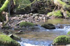 West-Water-52