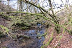 West-Water-54