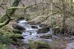 West-Water-6