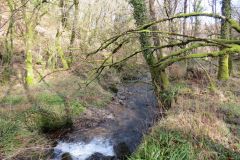 West-Water-7