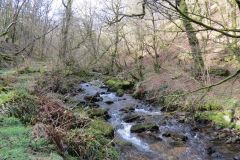 West-Water-8