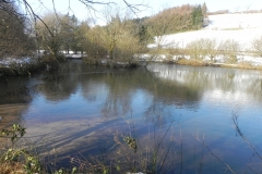 12. Pond upstream from Westermill Farm