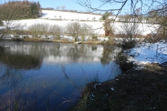 13. Pond upstream from Westermill Farm