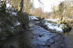 16. Upstream from Westermill ford