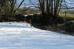 23. Upstream from Westermill Farm Ford