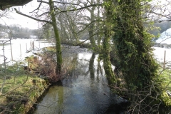 40. Upstream from Edgcott ROW footbridge