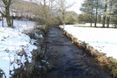 9. Looking upstream from Westermill Farm west footbridge