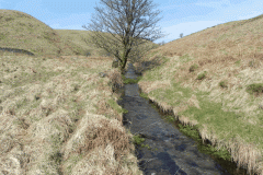 White Water