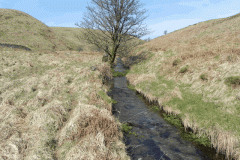 1. White Water flowing to join River Barle