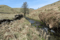 2. White Water flowing to join River Barle