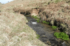 3. White Water flowing to join River Barle
