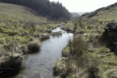 4. White Water flowing to join River Barle