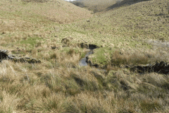 6. White Water flowing to join River Barle